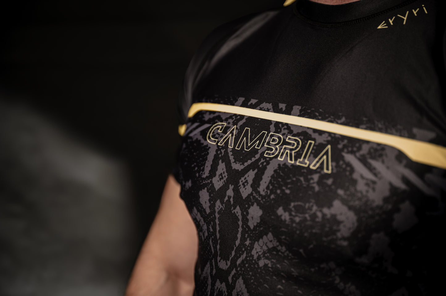 CAMBRIA - Eryri BJJ/MMA Rashguard.