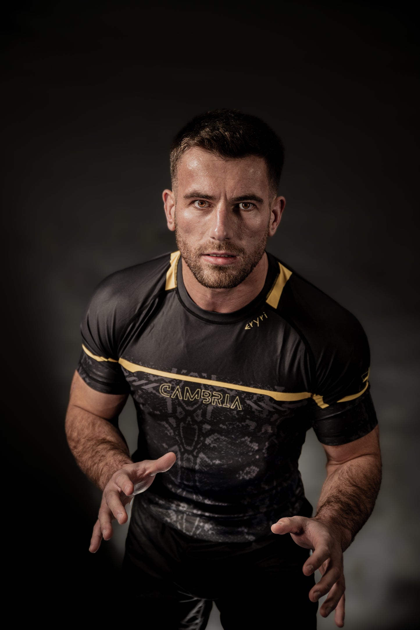 CAMBRIA - Eryri BJJ/MMA Rashguard.