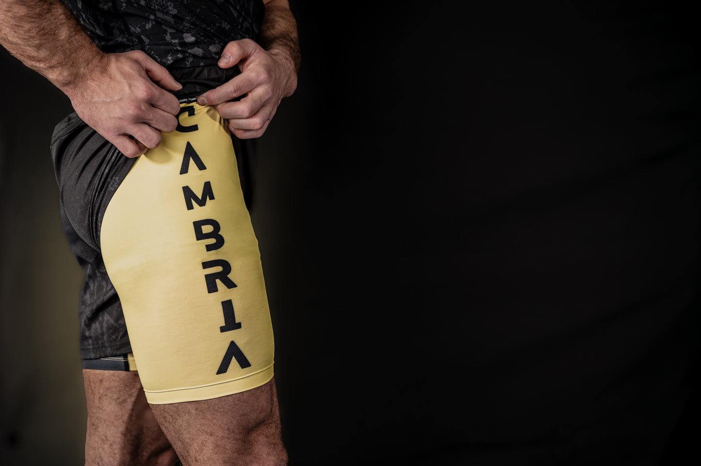 Eryri BJJ/MMA 2 in 1 shorts.